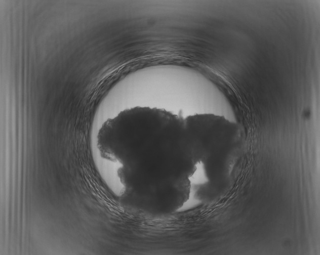 X0000116271015200911301011
