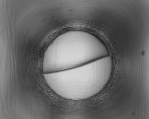 X0000116271016200911301011