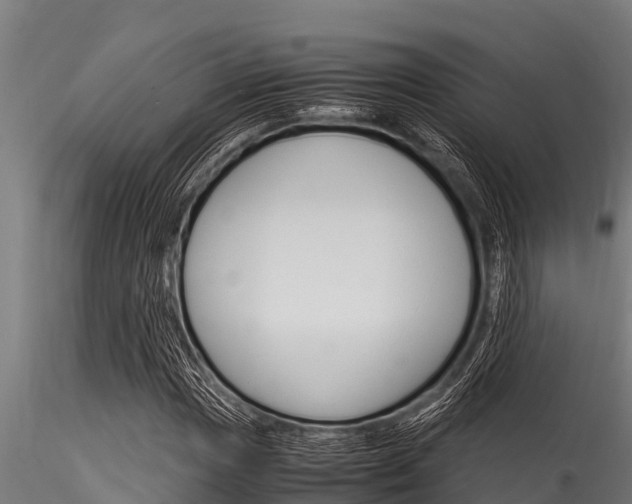 X0000116271017200911301011