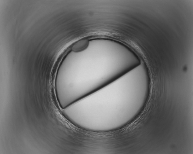 X0000116271020200911301011