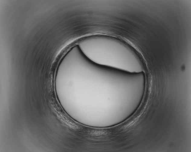 X0000116271021200911301011