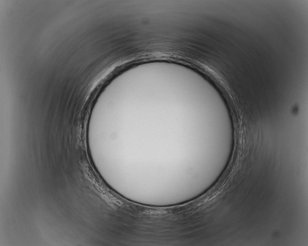 X0000116271023200911301011