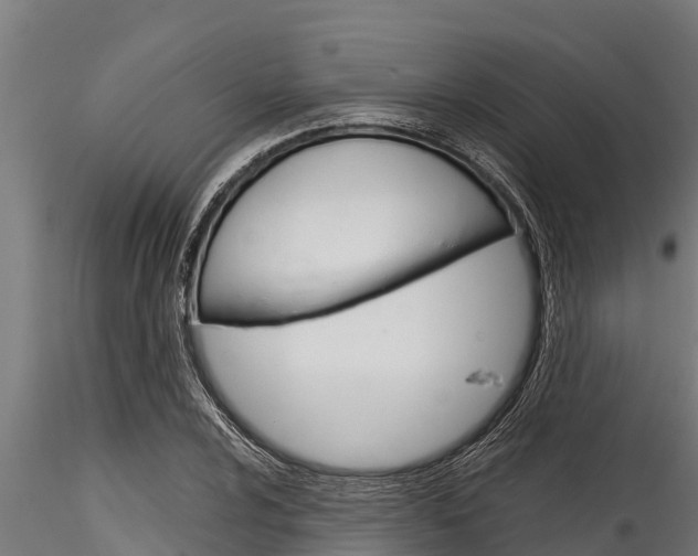 X0000116271024200911301011