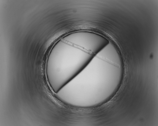 X0000116271026200911301011