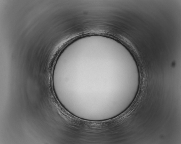 X0000116271027200911301011