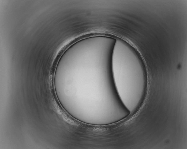 X0000116271029200911301012