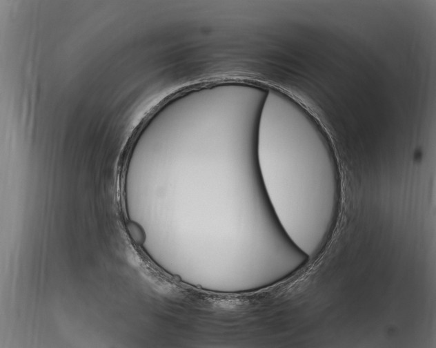 X0000116271031200911301012