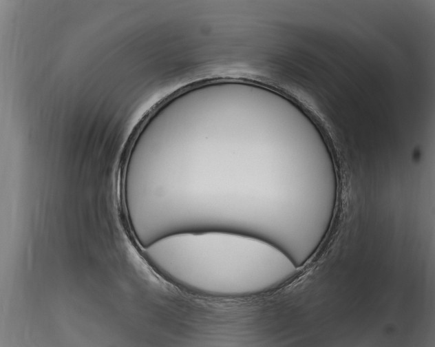 X0000116271032200911301012