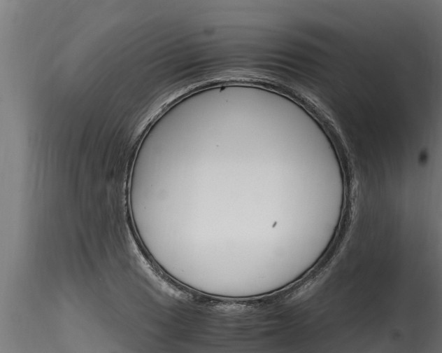 X0000116271033200911301012