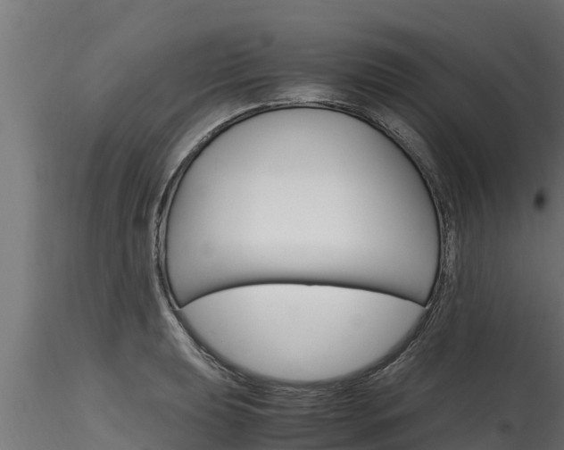 X0000116271039200911301012