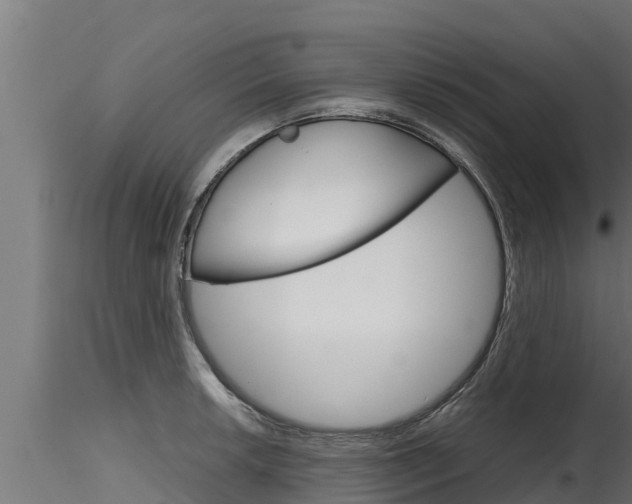 X0000116271042200911301012