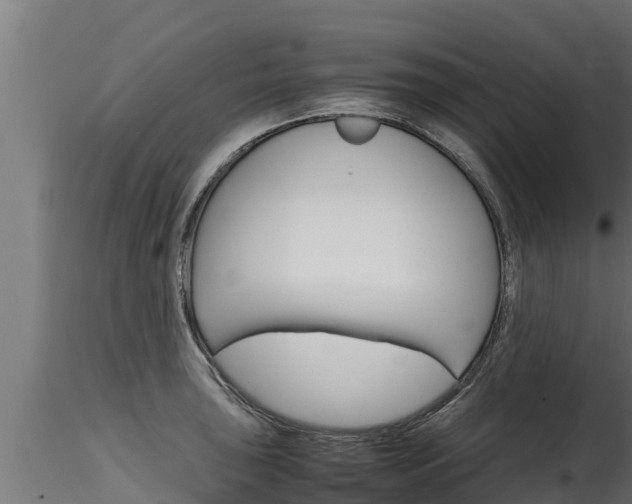 X0000116271043200911301012