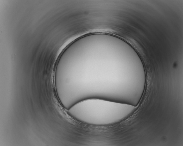X0000116271044200911301012