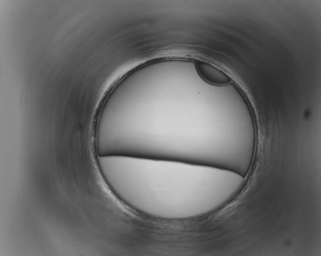 X0000116271045200911301012