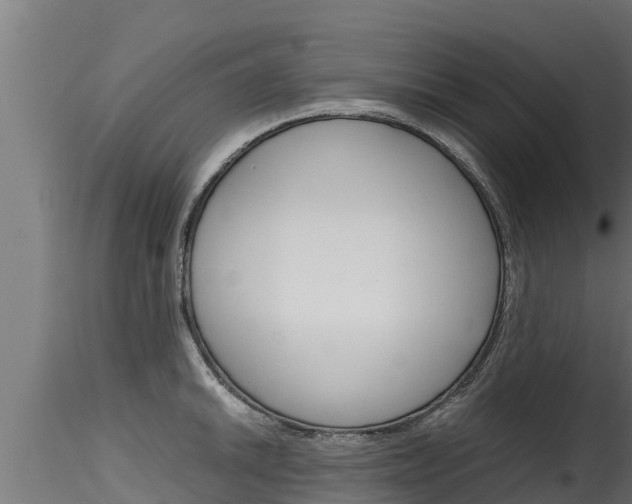 X0000116271046200911301012