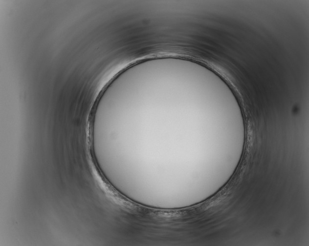 X0000116271047200911301012
