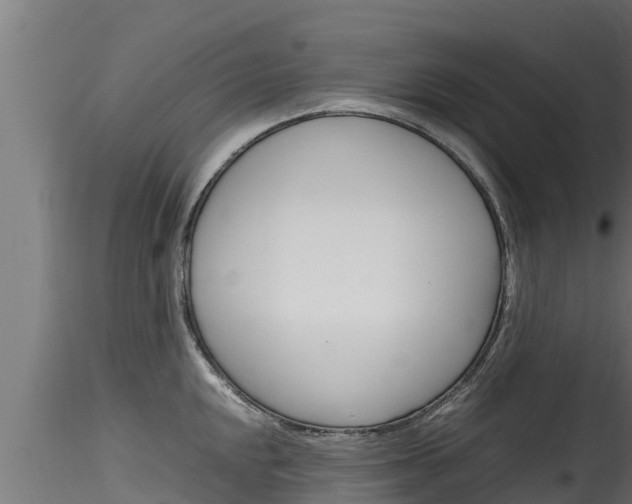 X0000116271048200911301012