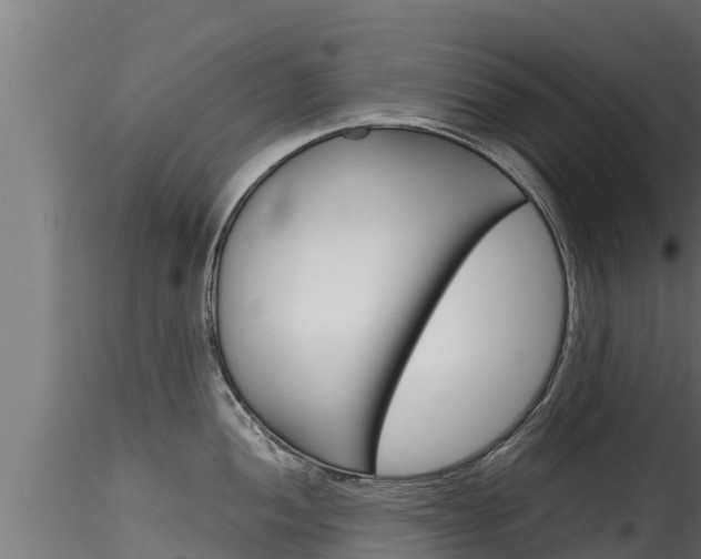 X0000116271052200911301012