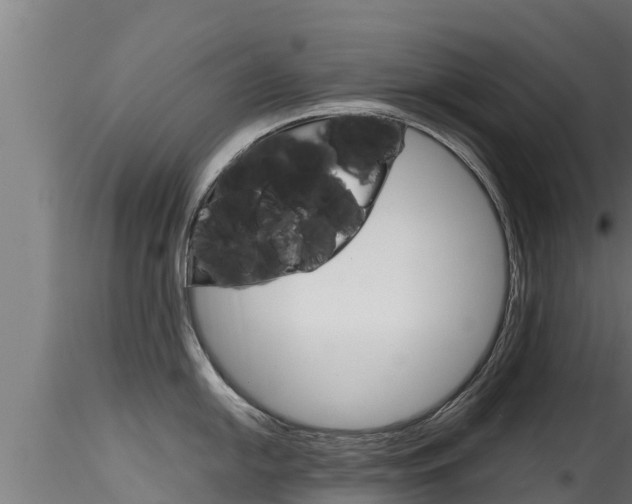 X0000116271054200911301012