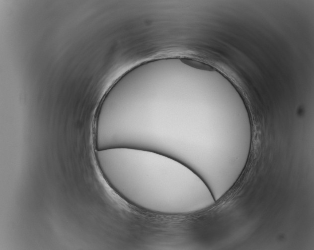 X0000116271055200911301012
