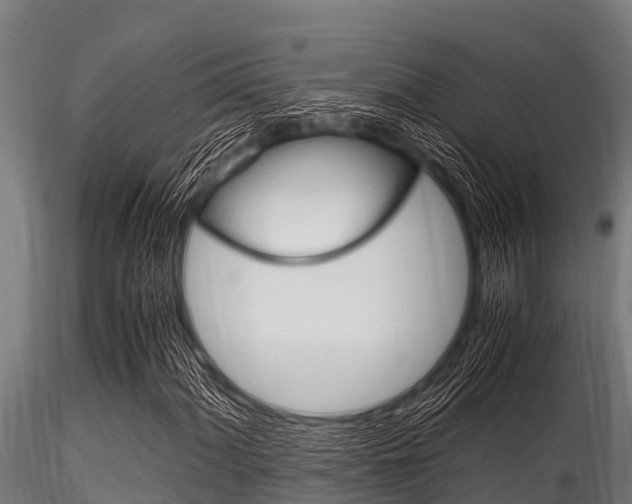 X0000116271060200911301011