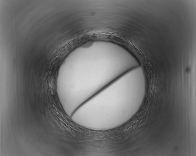 X0000116271062200911301011