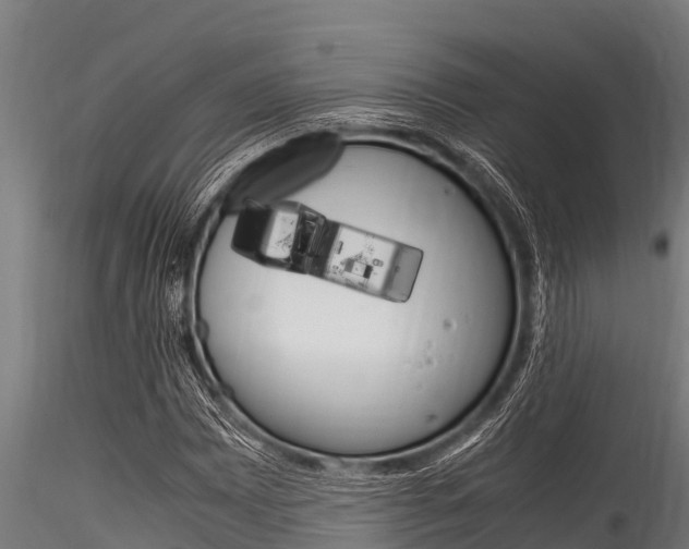 X0000116271065200911301011