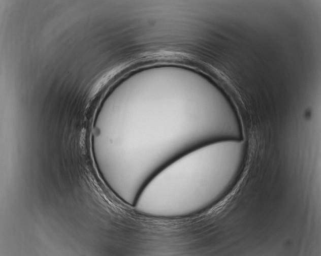 X0000116271066200911301011
