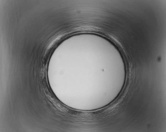 X0000116271067200911301011
