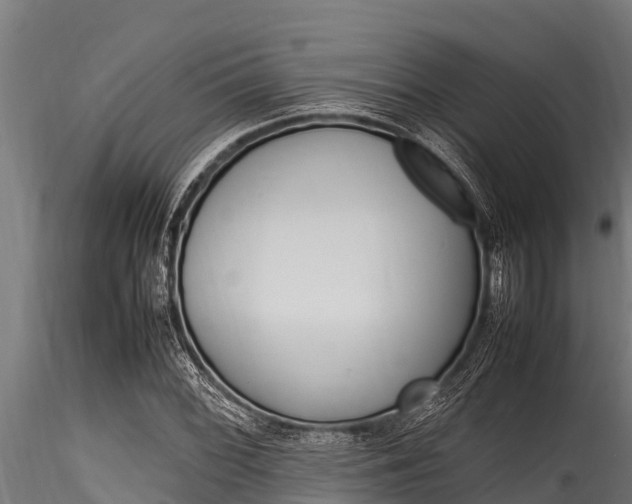 X0000116271068200911301011