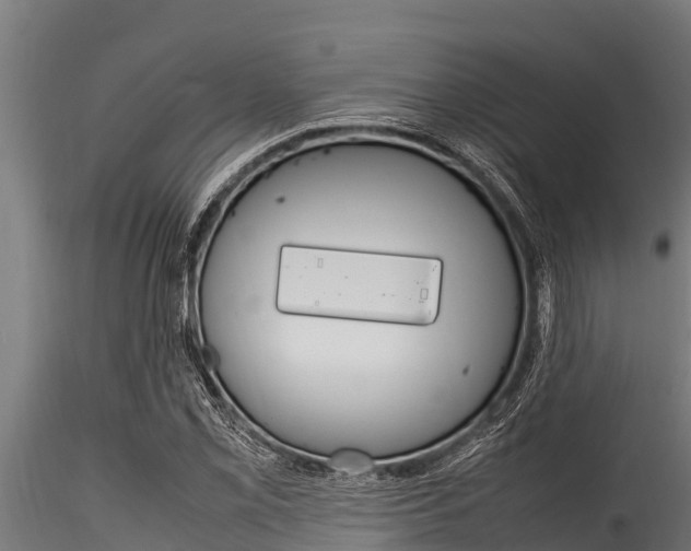 X0000116271069200911301011