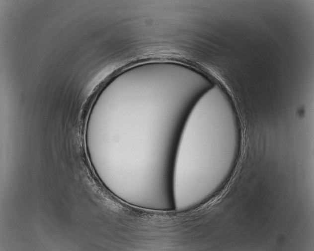 X0000116271071200911301011
