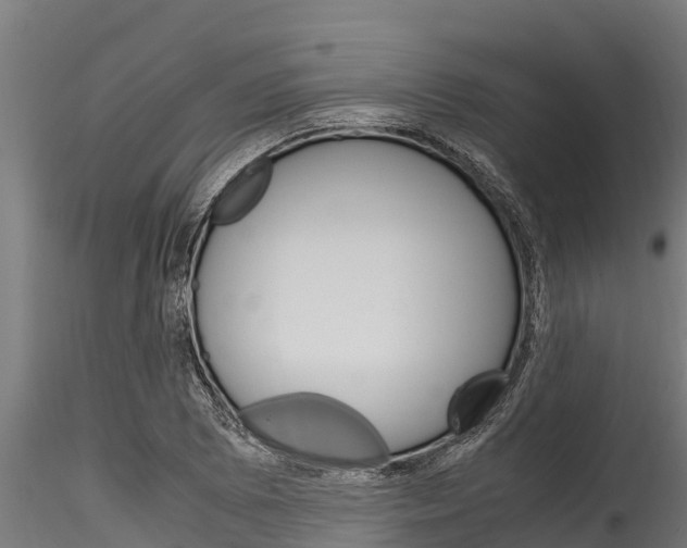 X0000116271073200911301011