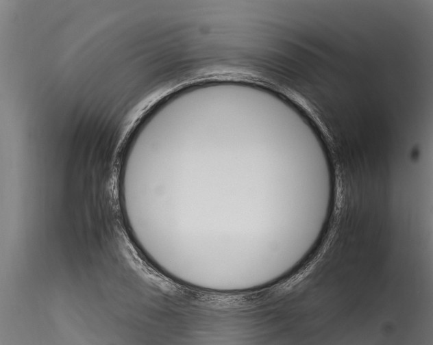 X0000116271074200911301011