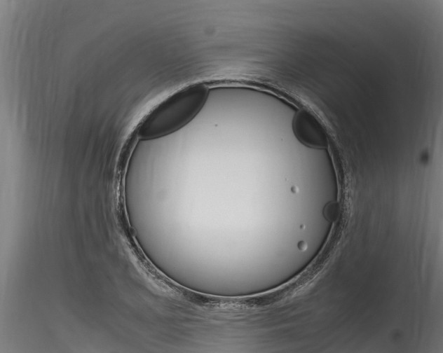 X0000116271077200911301011