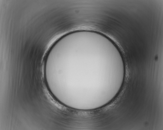 X0000116271078200911301011