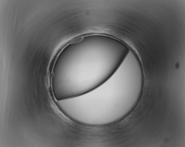 X0000116271080200911301011