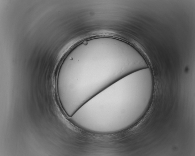 X0000116271082200911301011