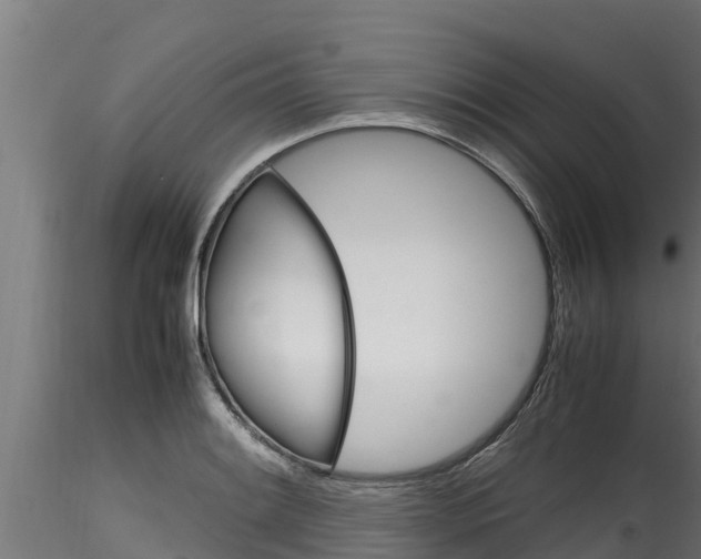 X0000116271084200911301011