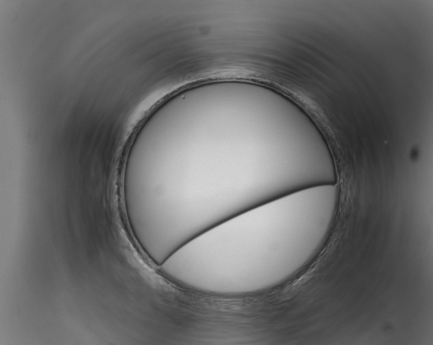 X0000116271086200911301011