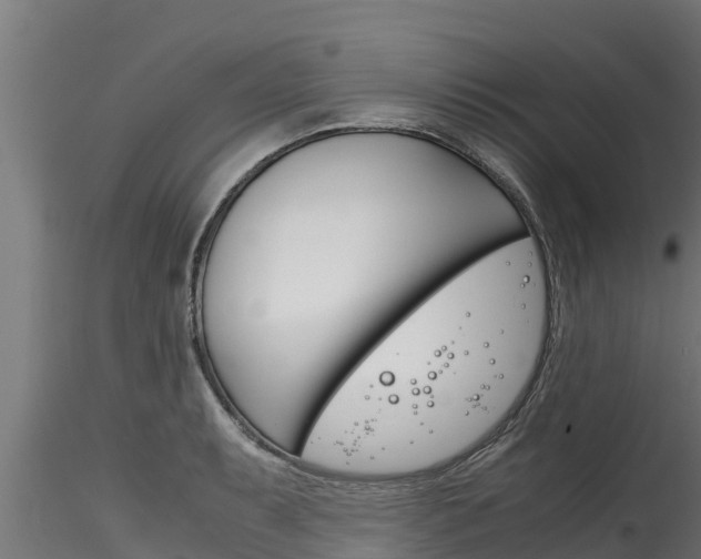 X0000116271087200911301011