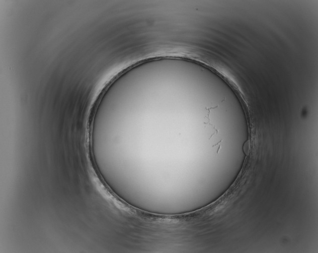 X0000116271088200911301011