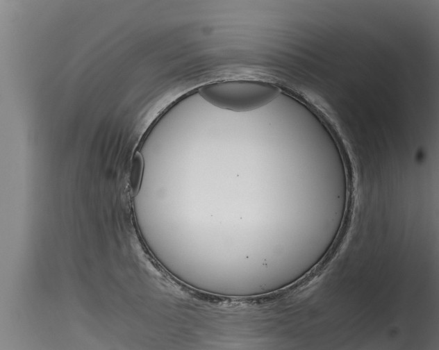 X0000116271089200911301011