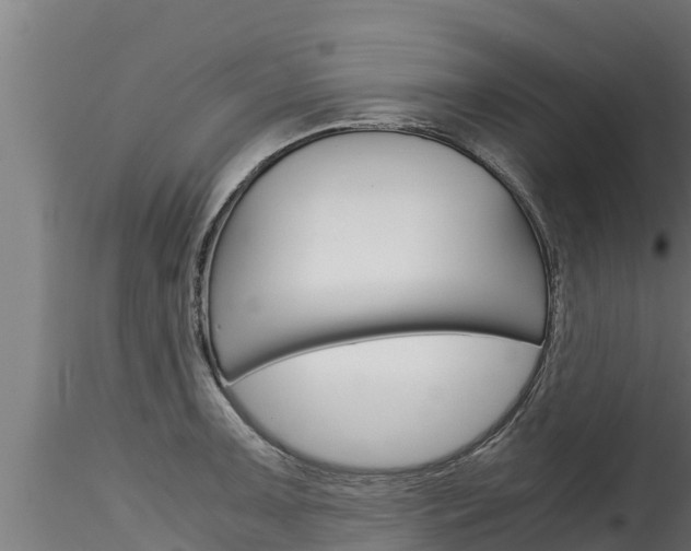 X0000116271091200911301011