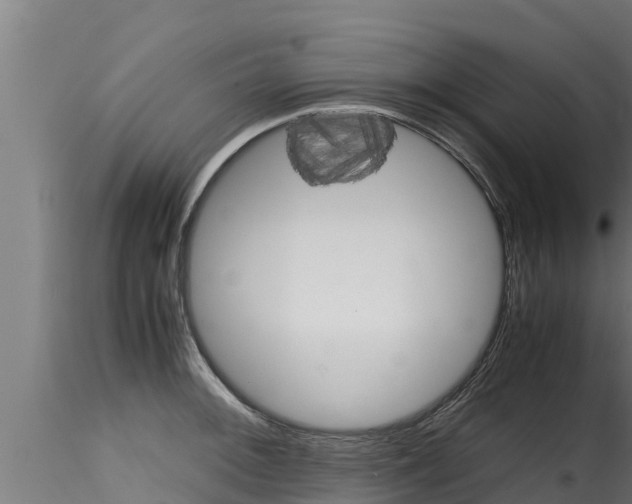 X0000116271092200911301011