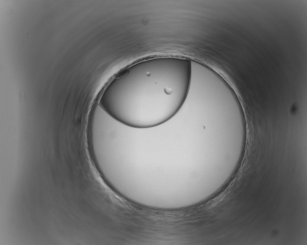 X0000116271093200911301011
