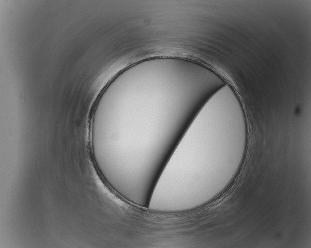 X0000116271095200911301011