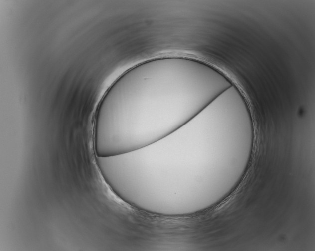 X0000116271102200911301010