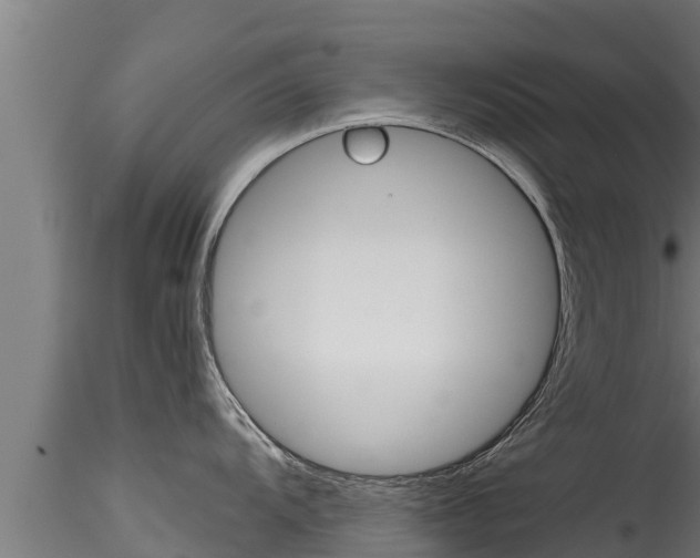 X0000116271104200911301010