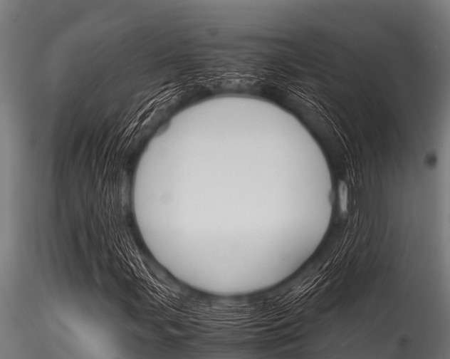 X0000116271107200911301010